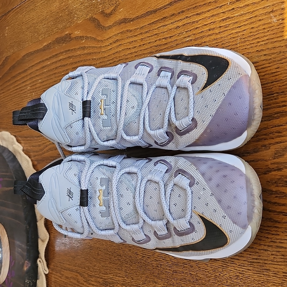 Nike Lebron 13 Low 'Cool Grey'